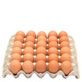 Egg Tray 30eggs