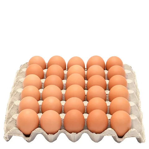 Egg Tray 30eggs