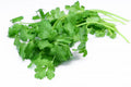 Coriander Bunch Fresh