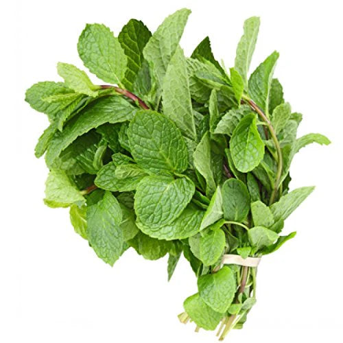 Mint Leaves Bunch Fresh