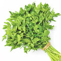 Parsley Continental Bunch Fresh